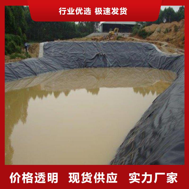凸结点钢塑土工格栅视频-阜阳市凸结点钢塑土工格栅-【此地】可服务区域界首|颍东|铜陵|宿州|巢湖|马鞍山|宣城