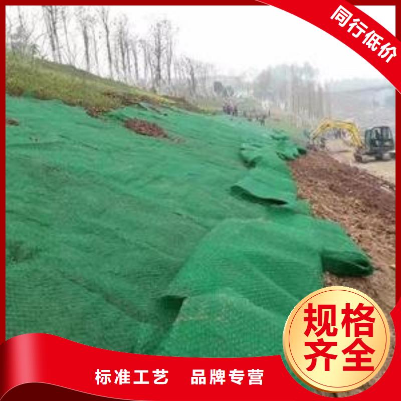 凸结点钢塑土工格栅视频-广东省梅州市亿路通凸结点钢塑土工格栅可服务区域梅江|大埔|珠海|汕尾|惠州|韶关|云浮等