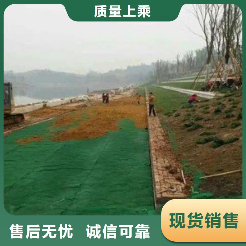 凸结点钢塑土工格栅视频-广东省梅州市亿路通凸结点钢塑土工格栅可服务区域梅江|大埔|珠海|汕尾|惠州|韶关|云浮等