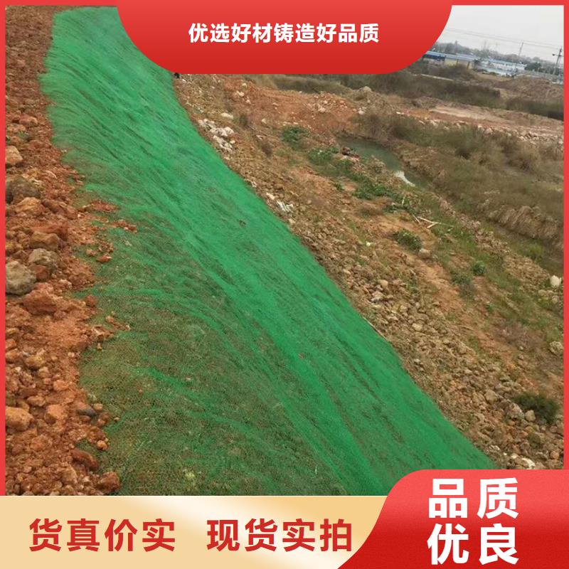凸结点钢塑土工格栅视频-广东省梅州市亿路通凸结点钢塑土工格栅可服务区域梅江|大埔|珠海|汕尾|惠州|韶关|云浮等