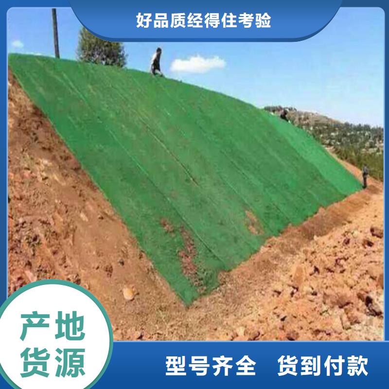 凸结点钢塑土工格栅视频-广东省梅州市亿路通凸结点钢塑土工格栅可服务区域梅江|大埔|珠海|汕尾|惠州|韶关|云浮等
