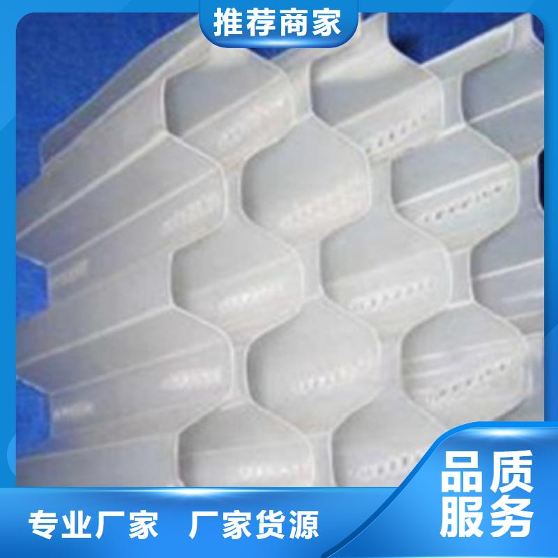 斜管填料柱状活性炭卓越品质保障