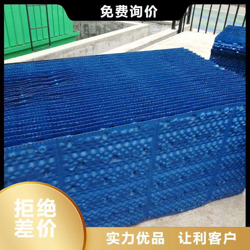 斜管填料柱状活性炭卓越品质保障