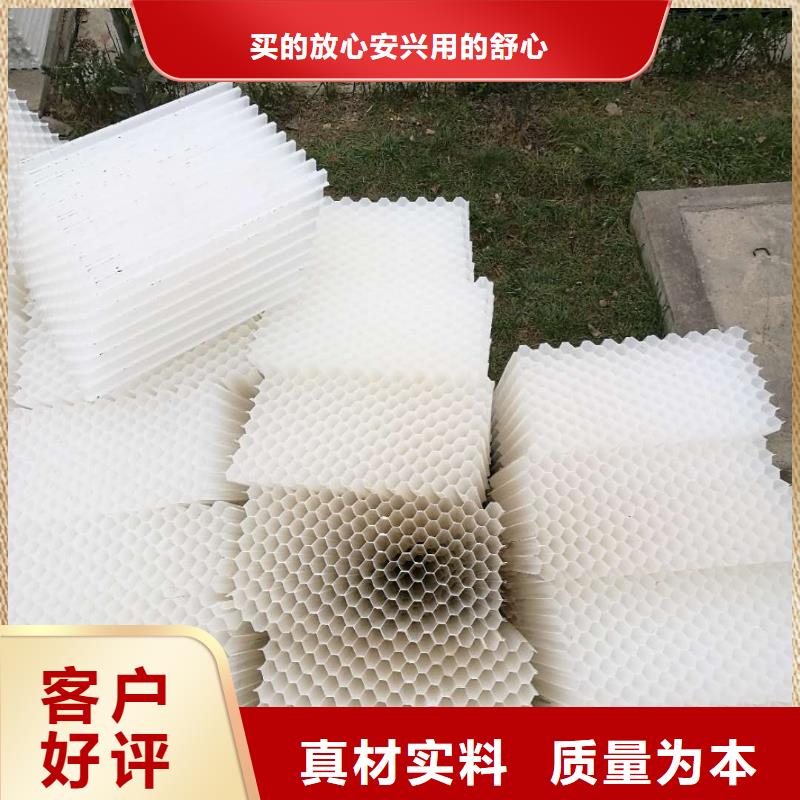 斜管填料柱状活性炭卓越品质保障