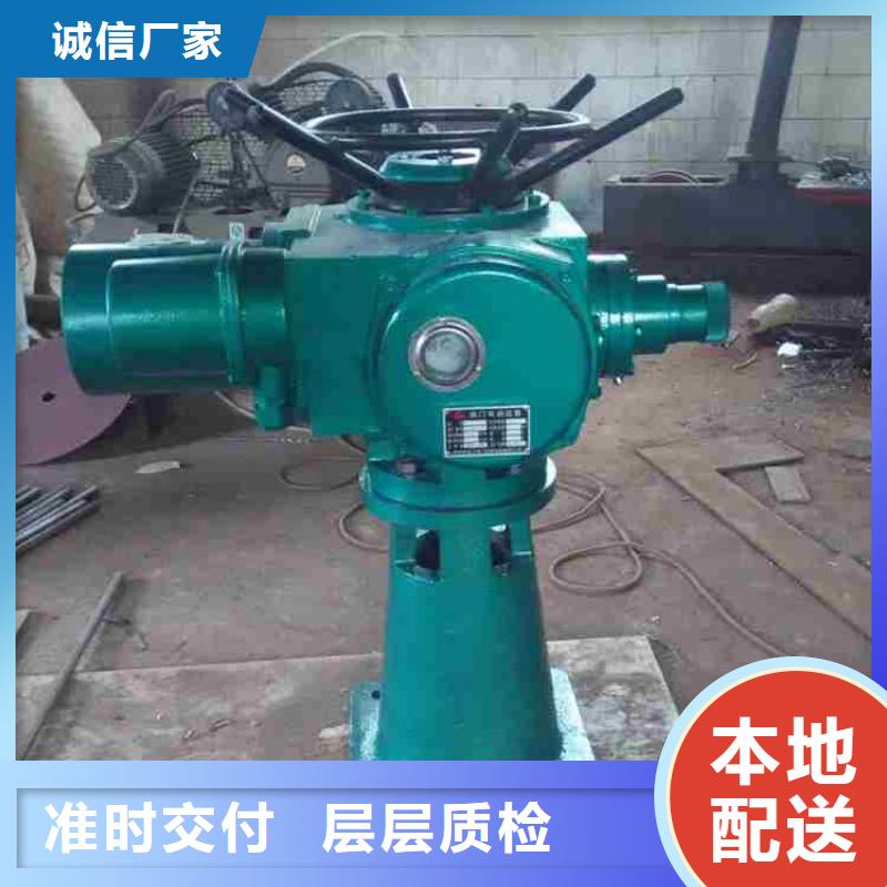 启闭机按需定制真材实料