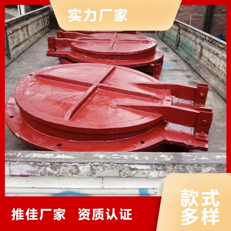  铸铁闸门甄选好物