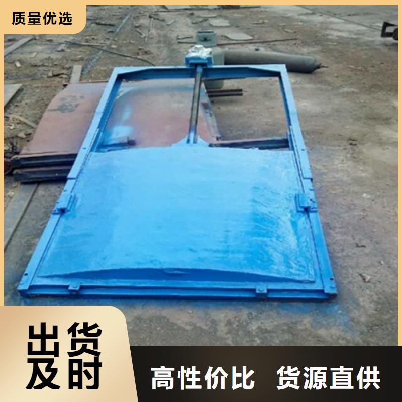 【铸铁闸门】 铸铁拍门细节决定品质