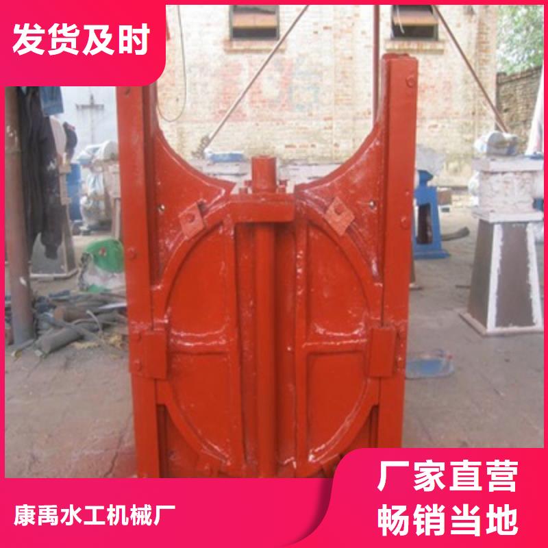 【铸铁闸门】 铸铁拍门细节决定品质