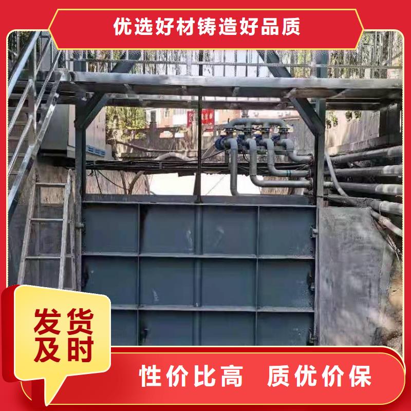 钢闸门_拍门实力雄厚品质保障