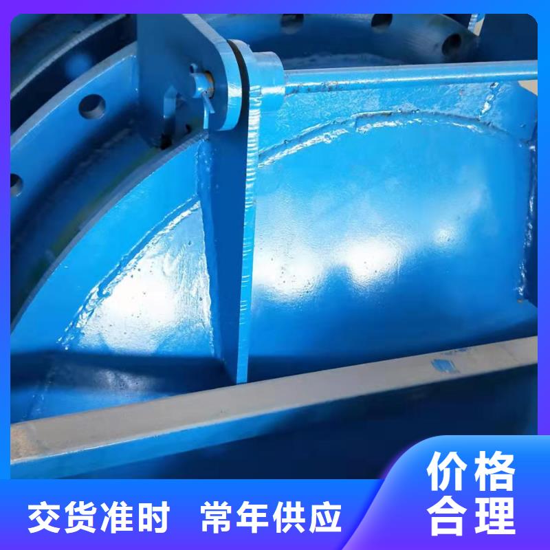 钢闸门_拍门实力雄厚品质保障