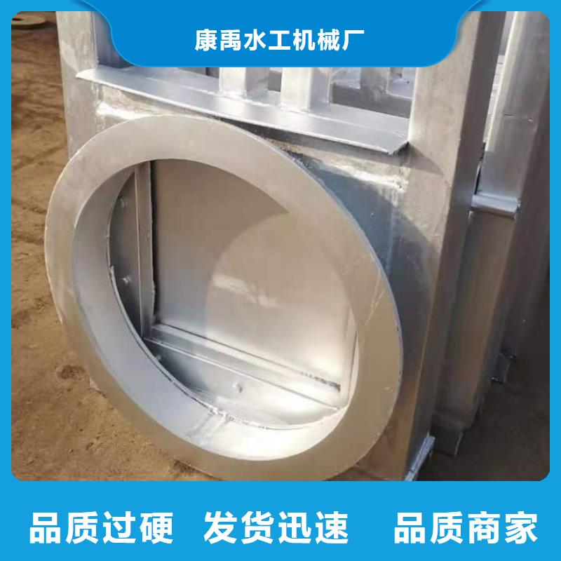 钢闸门极速发货