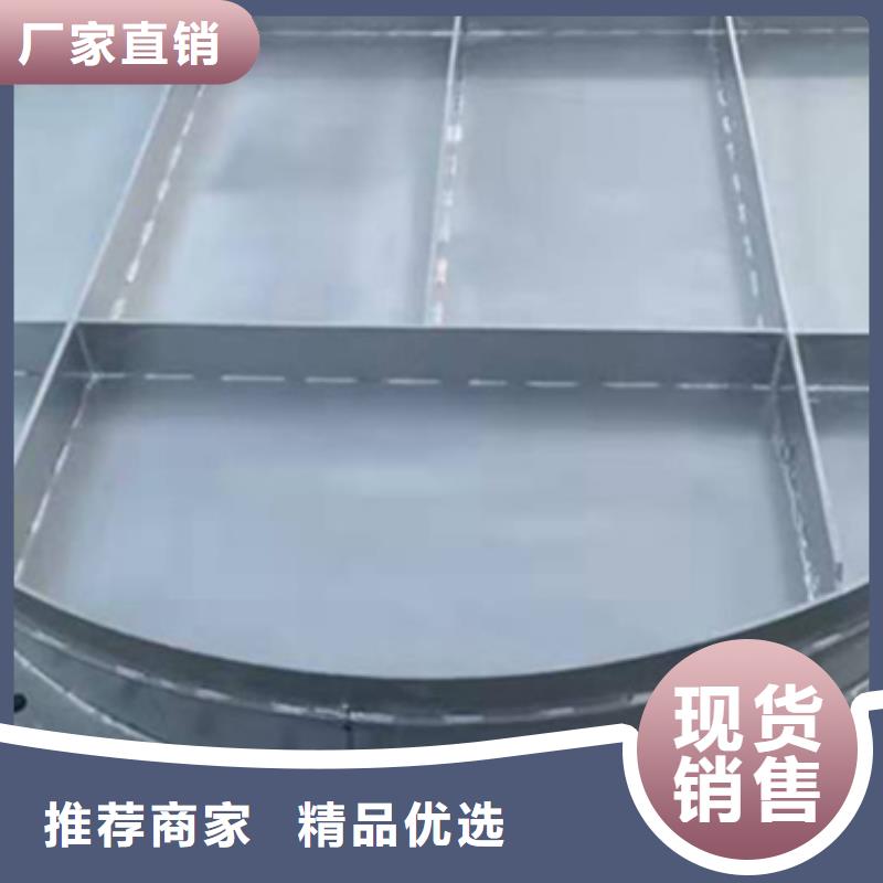 钢闸门_拍门实力雄厚品质保障