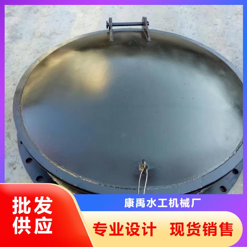 钢闸门极速发货