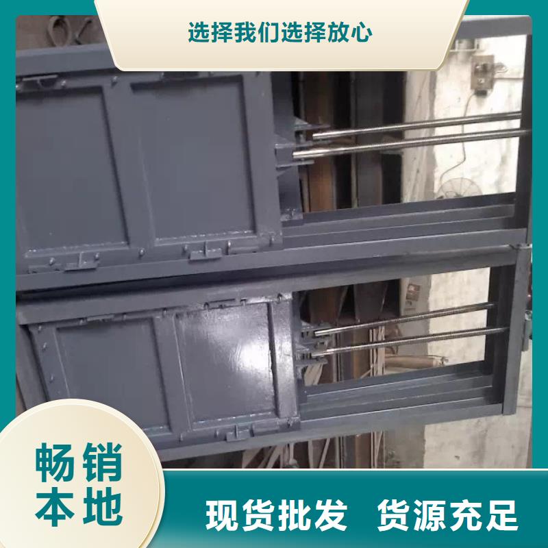 钢闸门_拍门实力雄厚品质保障