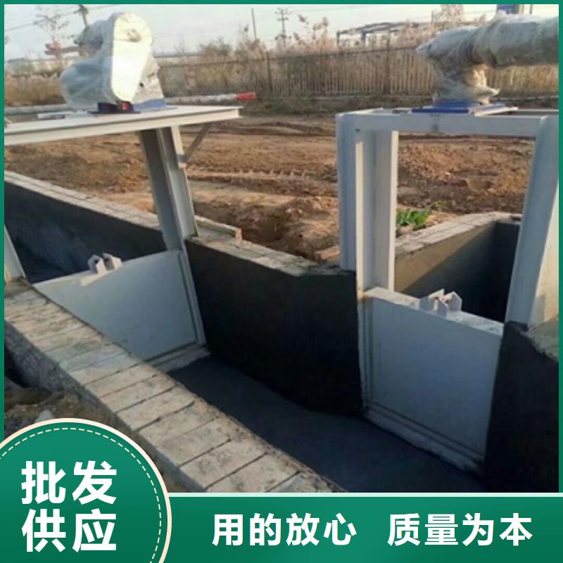 钢闸门_拍门实力雄厚品质保障