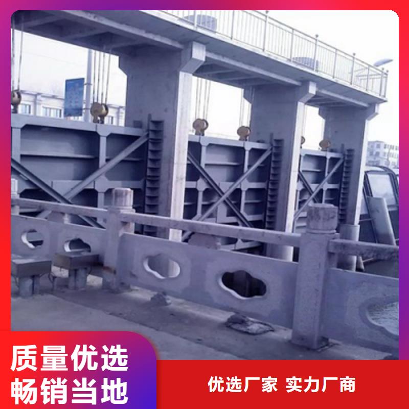 钢闸门_拍门实力雄厚品质保障