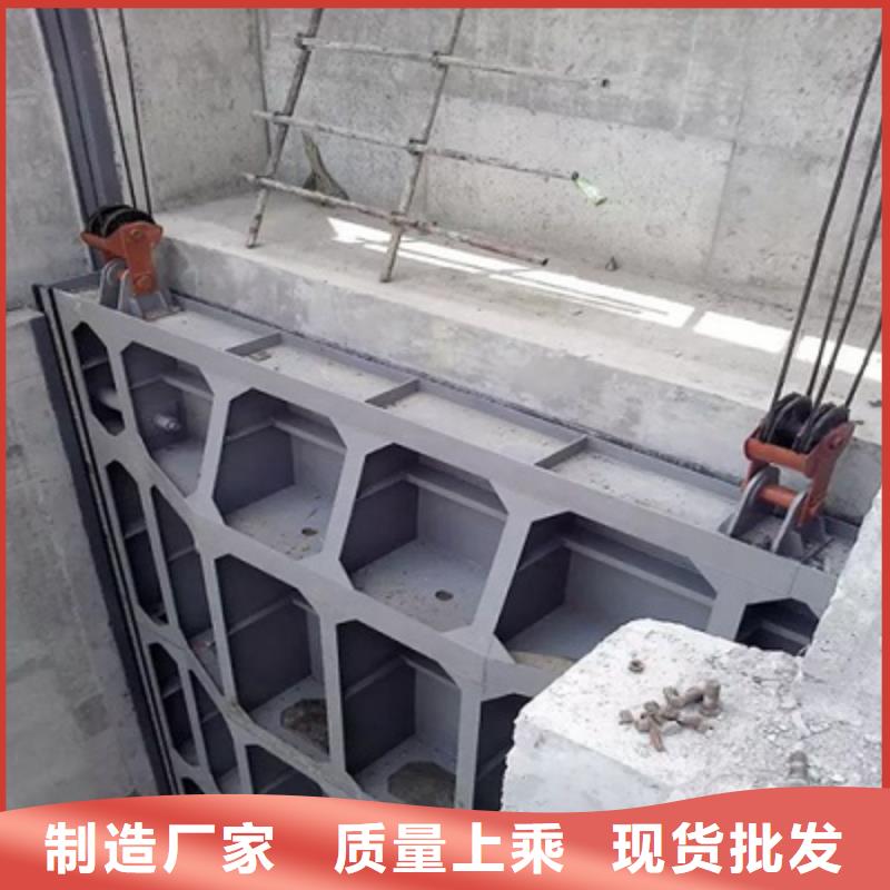 钢闸门_拍门实力雄厚品质保障