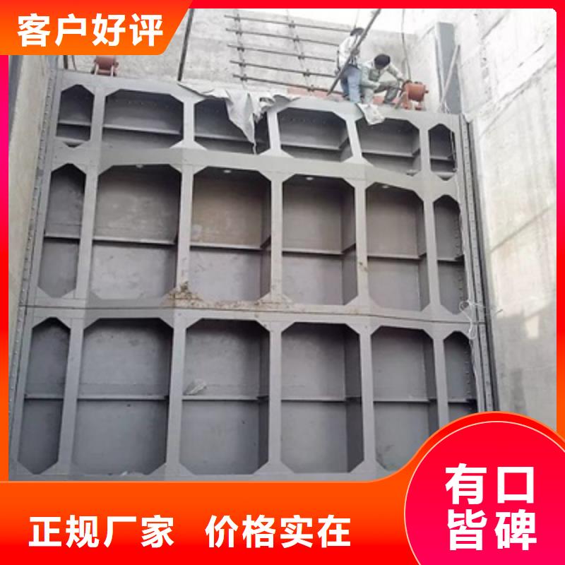 钢闸门_拍门实力雄厚品质保障