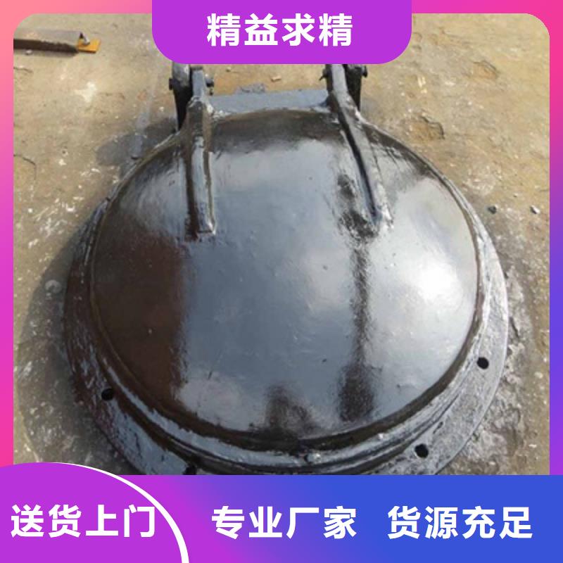 钢闸门_拍门实力雄厚品质保障