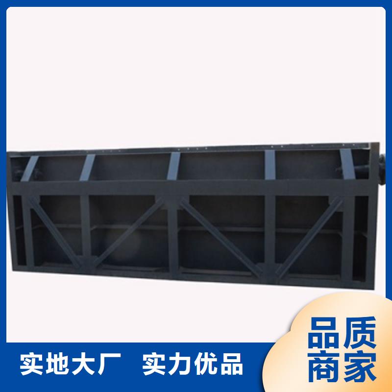 钢闸门_拍门实力雄厚品质保障