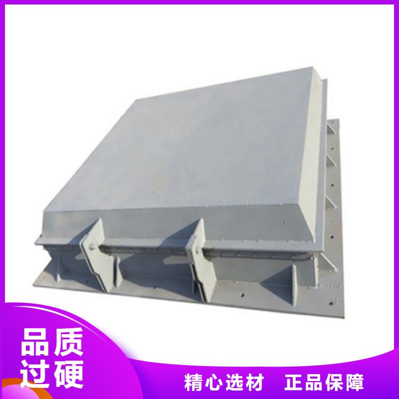 钢闸门_拍门实力雄厚品质保障