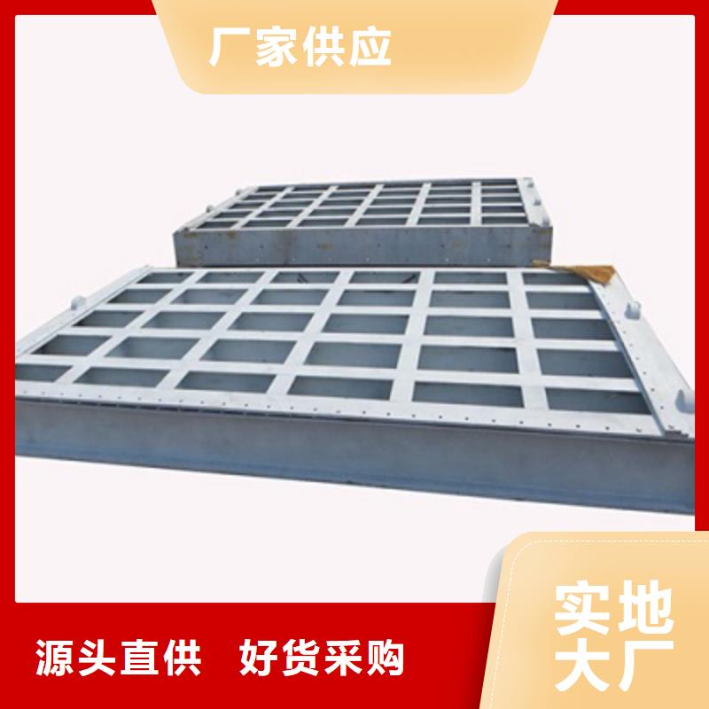 钢闸门_拍门实力雄厚品质保障