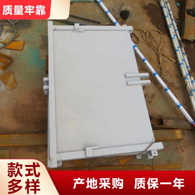 钢闸门_拍门实力雄厚品质保障