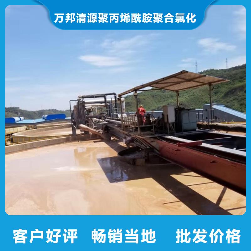 洗砂药剂价格