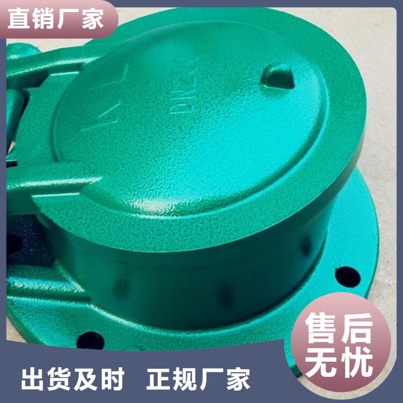  铸铁闸门匠心打造