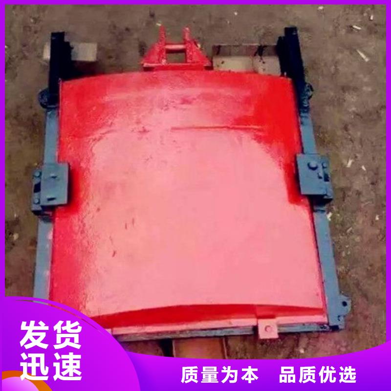 铸铁闸门匠心打造