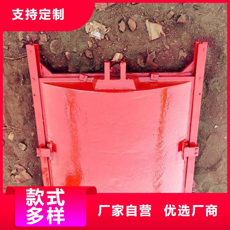 铸铁闸门匠心打造