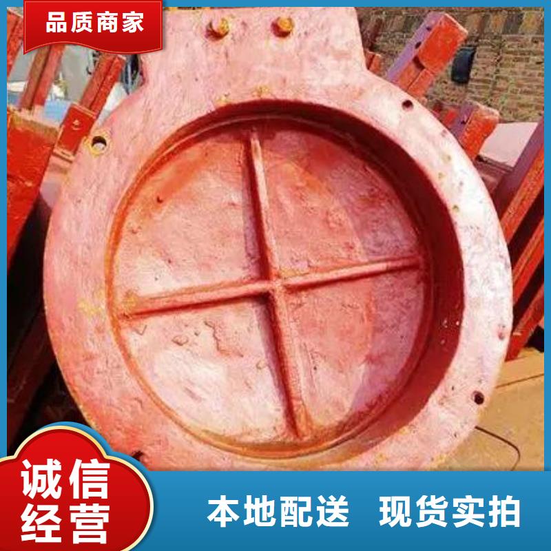 拍门专业生产团队