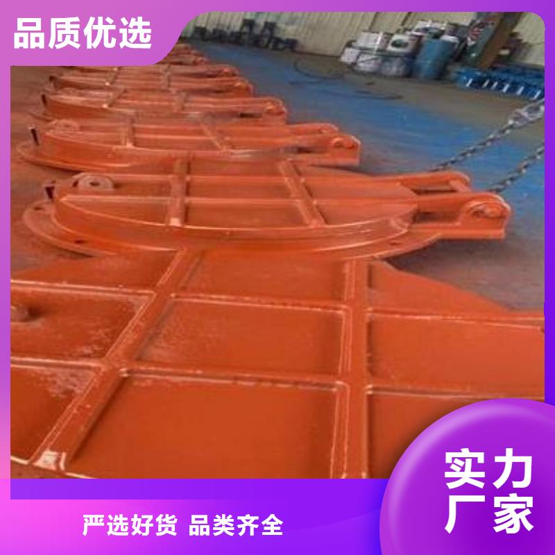 拍门 卷扬启闭机厂家自营品质有保障