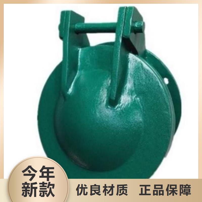 拍门 卷扬启闭机厂家自营品质有保障