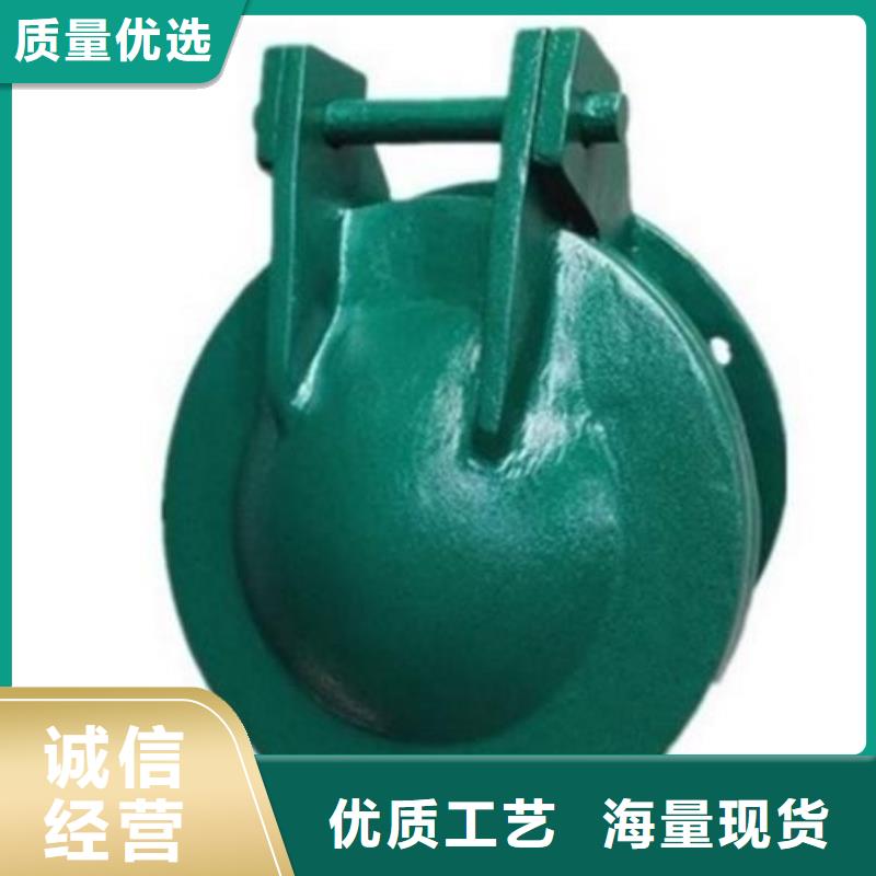 拍门 卷扬启闭机厂家自营品质有保障