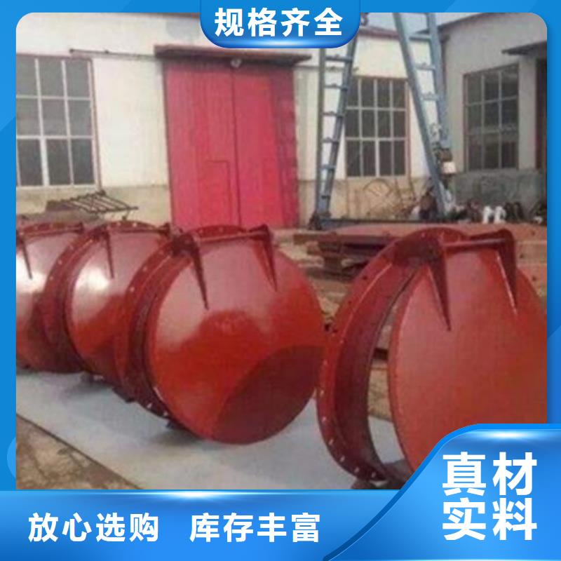 拍门 卷扬启闭机厂家自营品质有保障