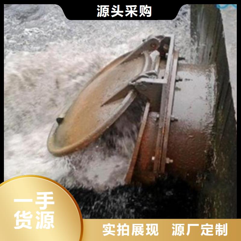 拍门 卷扬启闭机厂家自营品质有保障