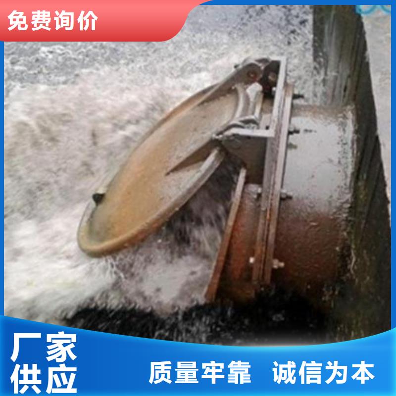 拍门应用领域