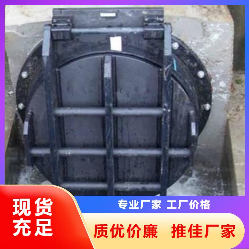 拍门 卷扬启闭机厂家自营品质有保障
