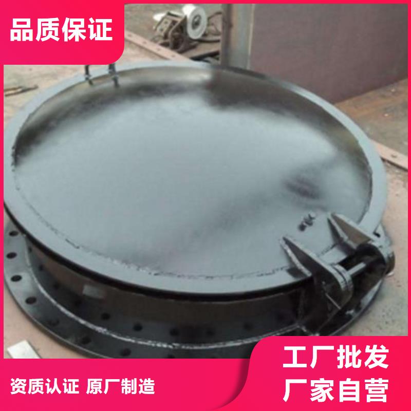 拍门 卷扬启闭机厂家自营品质有保障