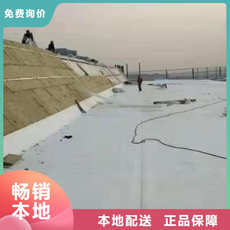 TPOTPO防水卷材施工队好货直销