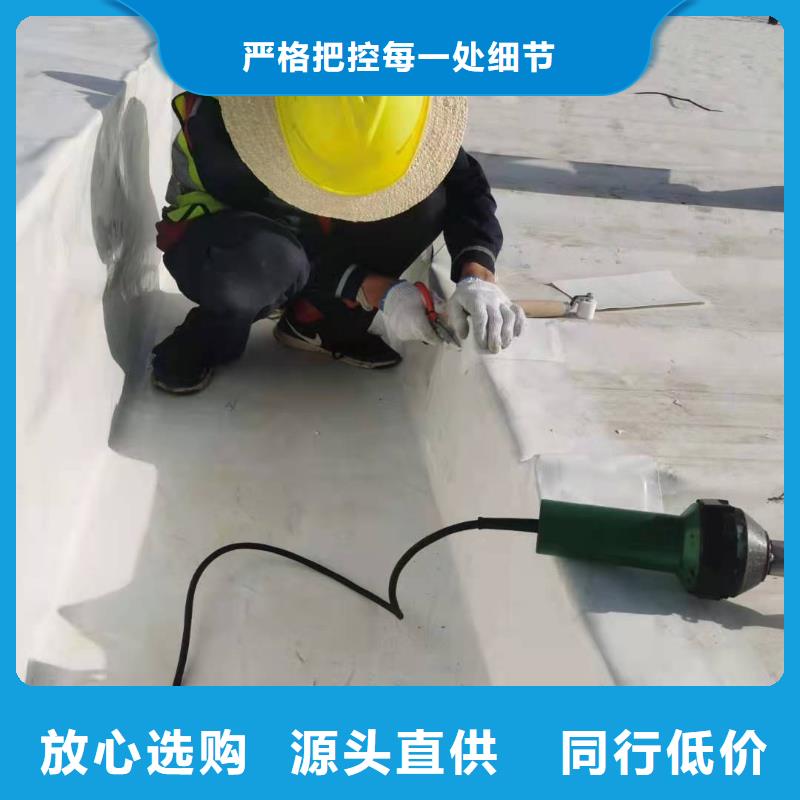 TPOTPO防水卷材施工队好货直销