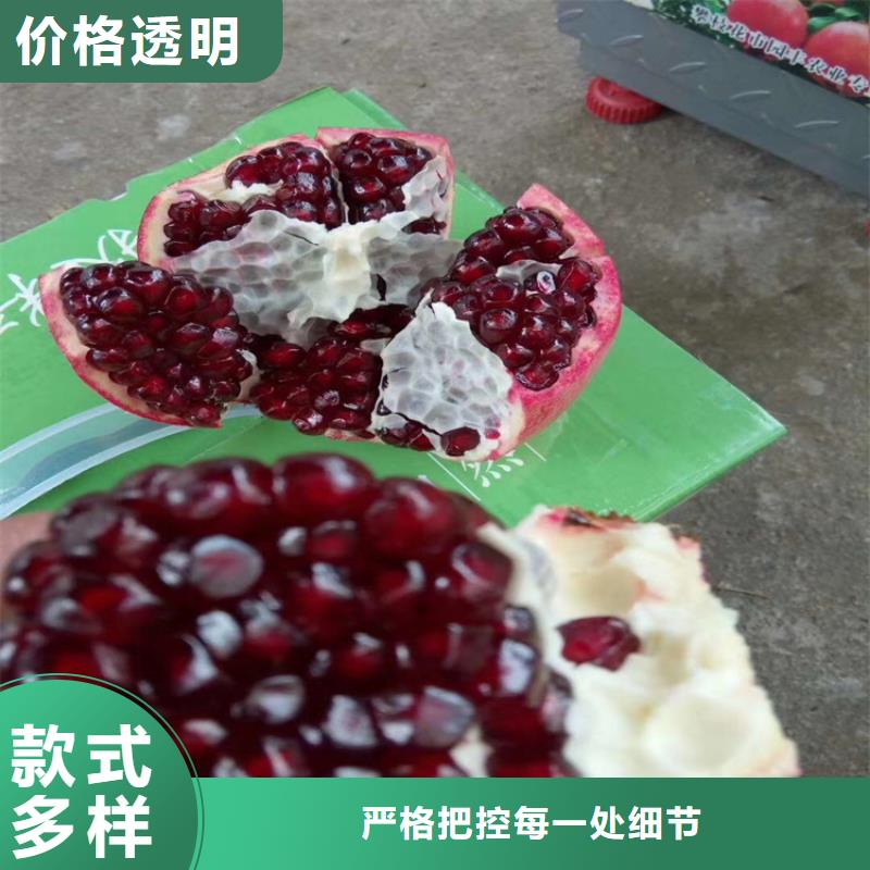 石榴苗视频-石榴苗-黑龙江省牡丹江市【该地】制造商-宁安|阳明|佳木斯|大庆|齐齐哈尔|大兴安岭|哈尔滨|黑河|鹤岗