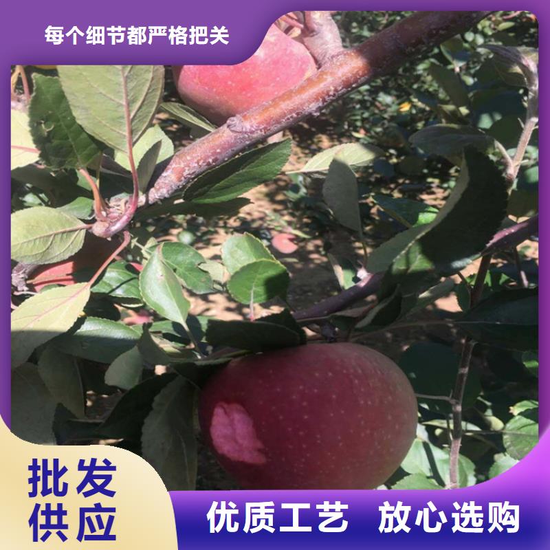 石榴苗视频-黔东南市石榴苗-(同城)可服务区域丹寨|剑河|贵阳|遵义|毕节|黔西南