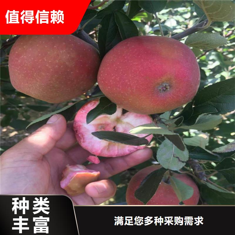 石榴苗视频-黔东南市石榴苗-(同城)可服务区域丹寨|剑河|贵阳|遵义|毕节|黔西南