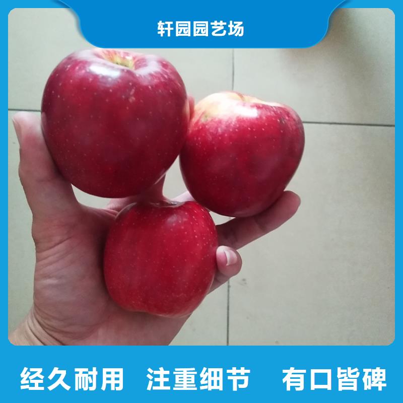 石榴苗视频-黔东南市石榴苗-(同城)可服务区域丹寨|剑河|贵阳|遵义|毕节|黔西南