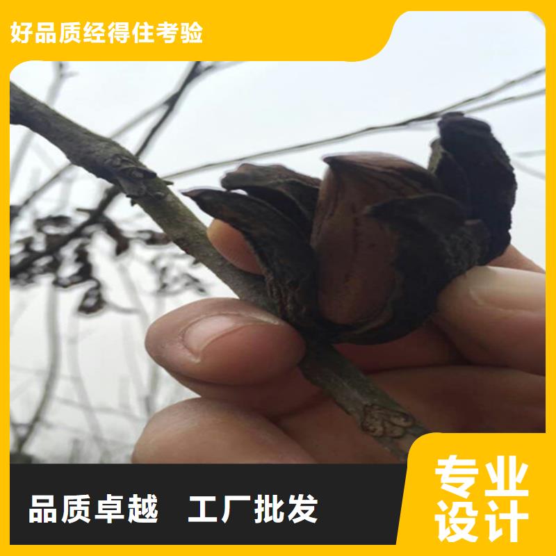 石榴苗视频-石榴苗_贵州省铜仁市市场覆盖万山|思南|黔南|黔东南|黔西南|安顺等