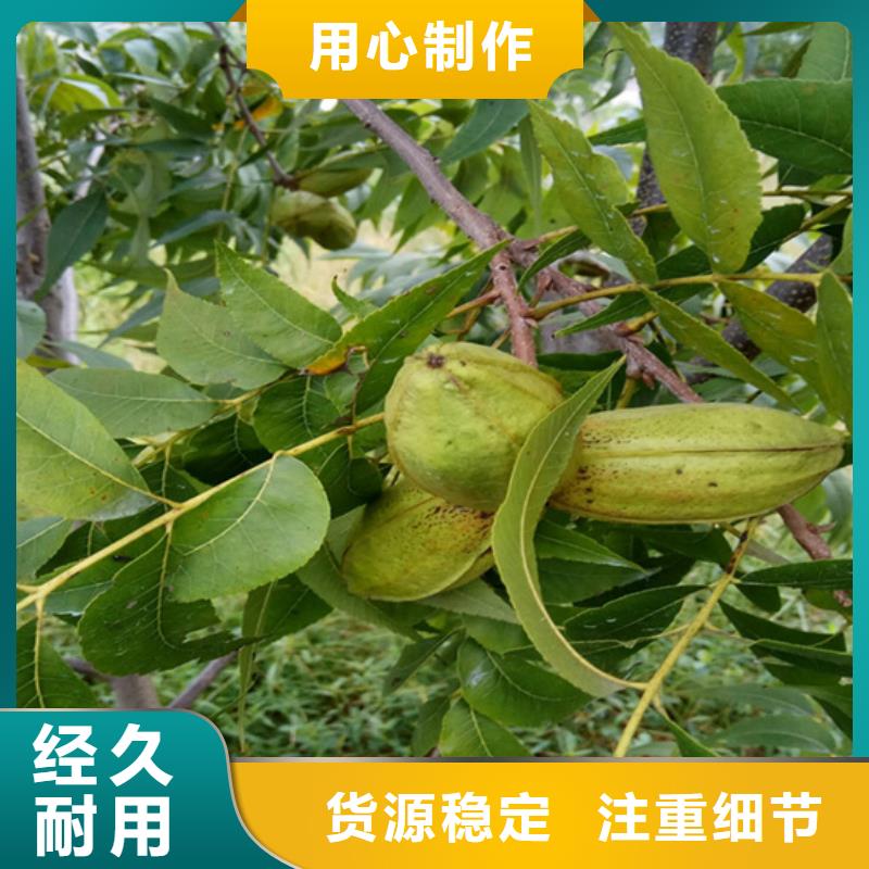 石榴苗视频-石榴苗_贵州省铜仁市市场覆盖万山|思南|黔南|黔东南|黔西南|安顺等