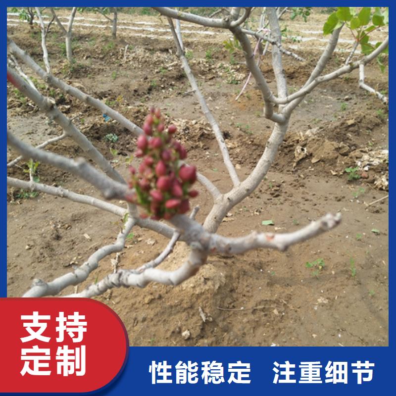 开心果嘎啦苹果厂家直营