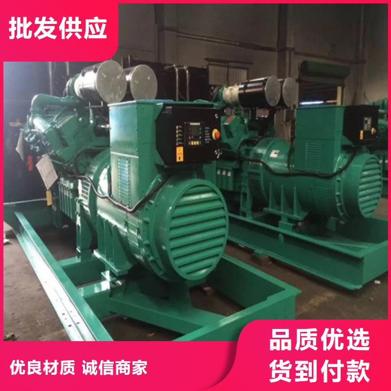 发电机柴油发电机出租多行业适用